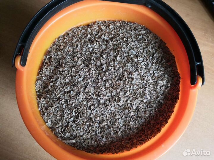 Укроп семена