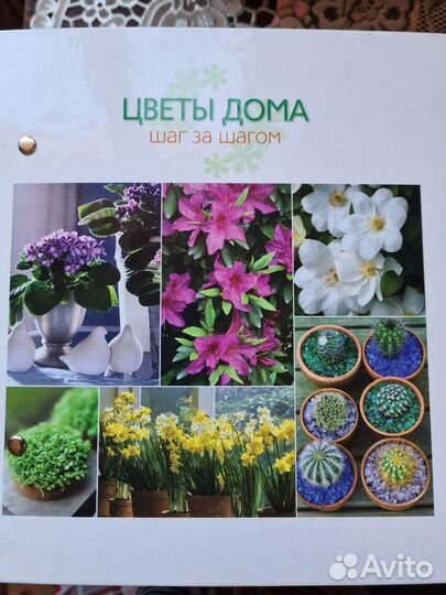 Цветы дома буклет