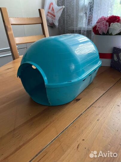 Домик для морской свинки, кролика