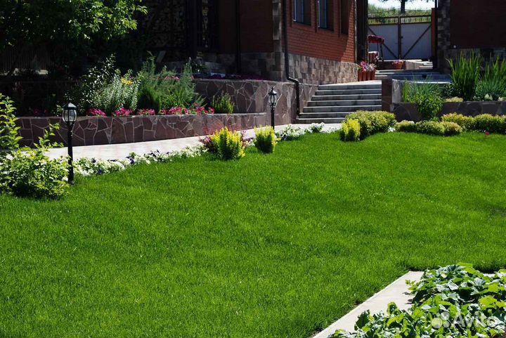 Укладка и продажа рулонного газона