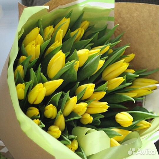 Букет из желтых сортовых тюльпанов 51 шт