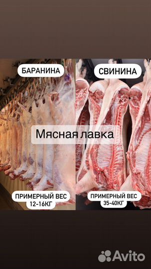 Свинина в тушах