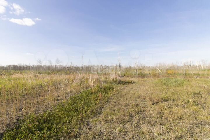 Участок 10,2 сот. (СНТ, ДНП)