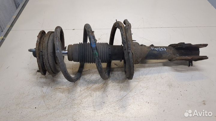 Амортизатор подвески Hyundai H-1 Starex, 2010