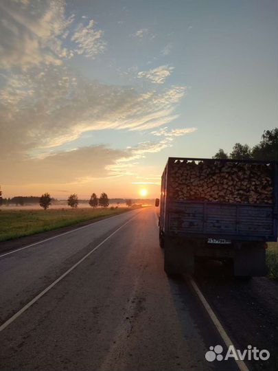 Дрова колотые, березовые