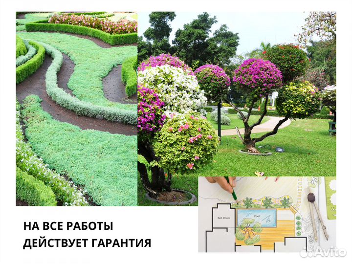 Ландшафтный дизайн. Растения для благоустройства