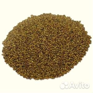 Семена люцерны оптом и в розницу от 1кг