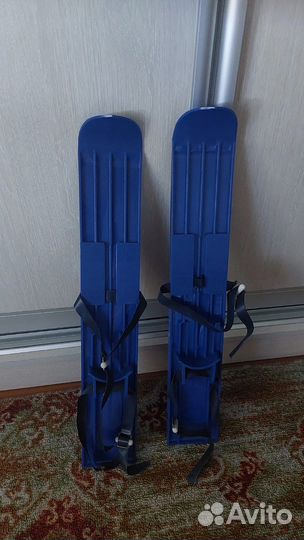 Горные лыжи