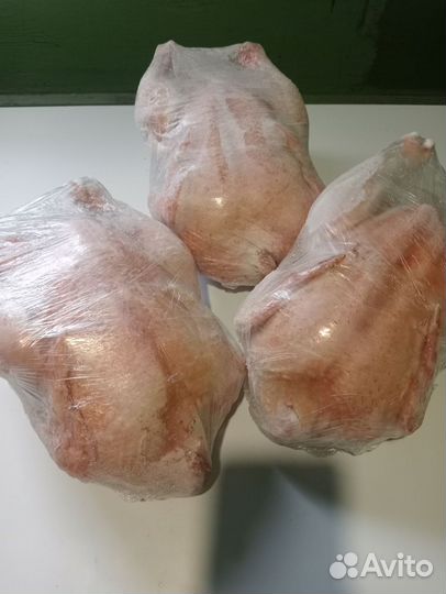 Куры бройлеры тушки мясо