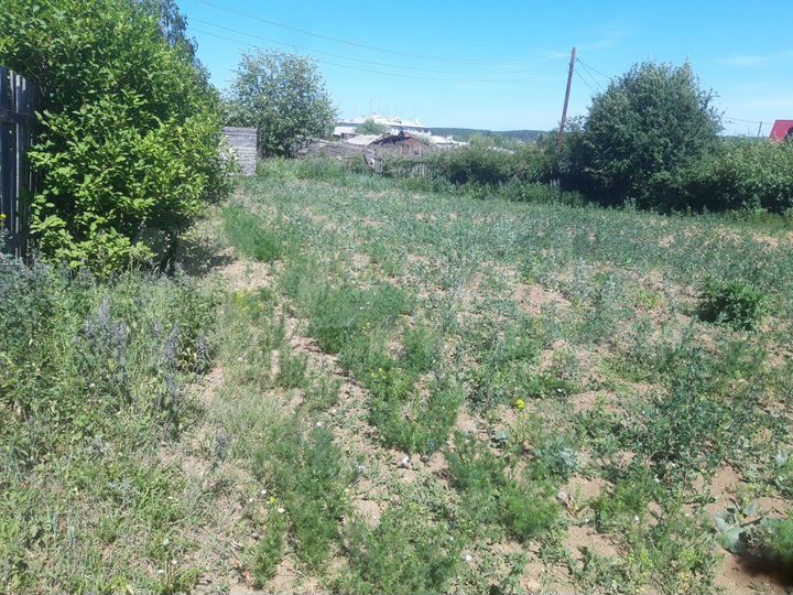 Участок 6,5 сот. (СНТ, ДНП)