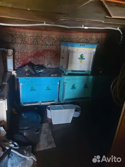 Ульи для пчел бу