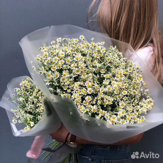 Букет ромашки