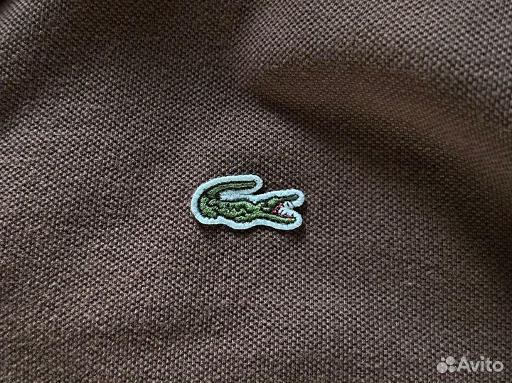 Поло Lacoste