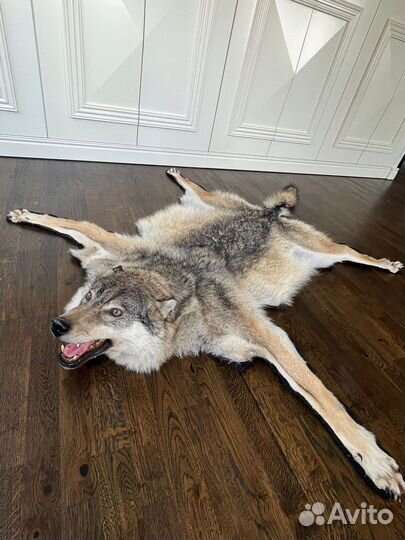 Чучело волка