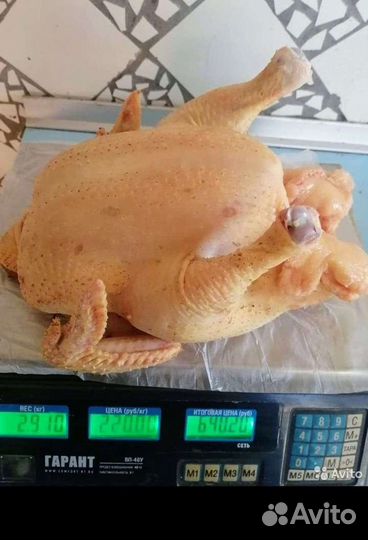 Мясо курица бройлер домашняя индейка