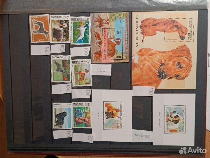 Марки кошки собаки