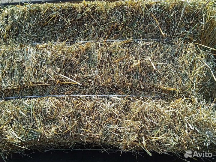 Сено в тюках