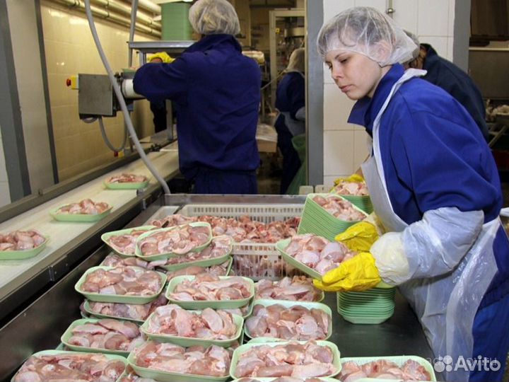 Разнорабочий на птицефабрику, вахта с жильем