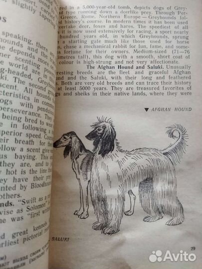 Чтение на английском, грамматика, 1963, 1980