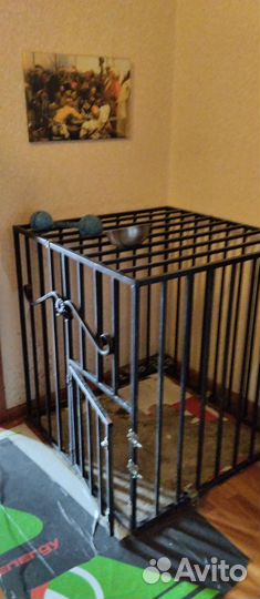Клетка для большой собаки