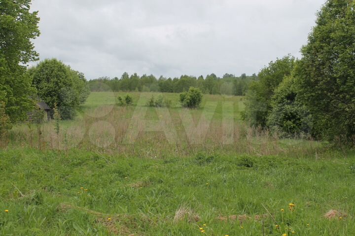 Участок 30 сот. (ИЖС)