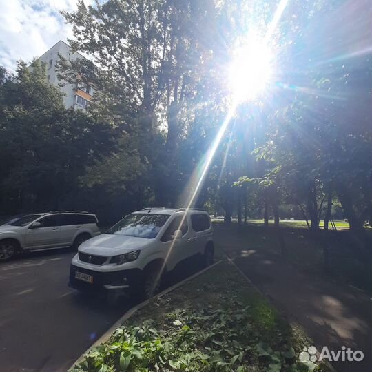 Курьер/Надёжный человек в Москве