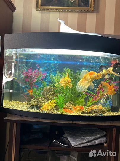 Украшение для аквариума