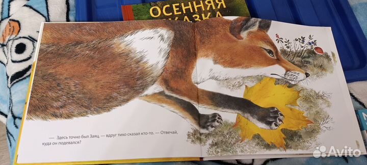 Книга лесная сказка