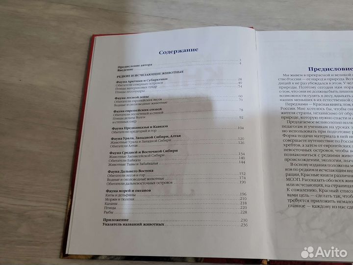 Красная книга животные России