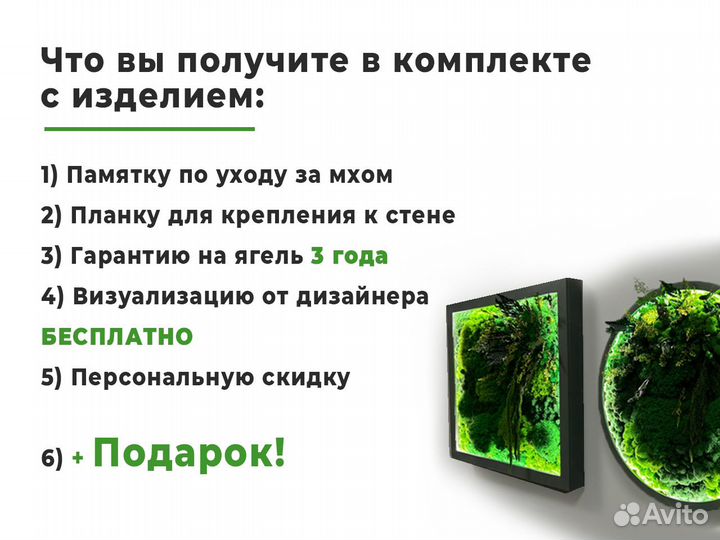 Круг из стабилизированного мха с подсветкой