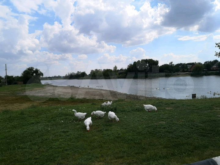 Станица новоплатнировская карта