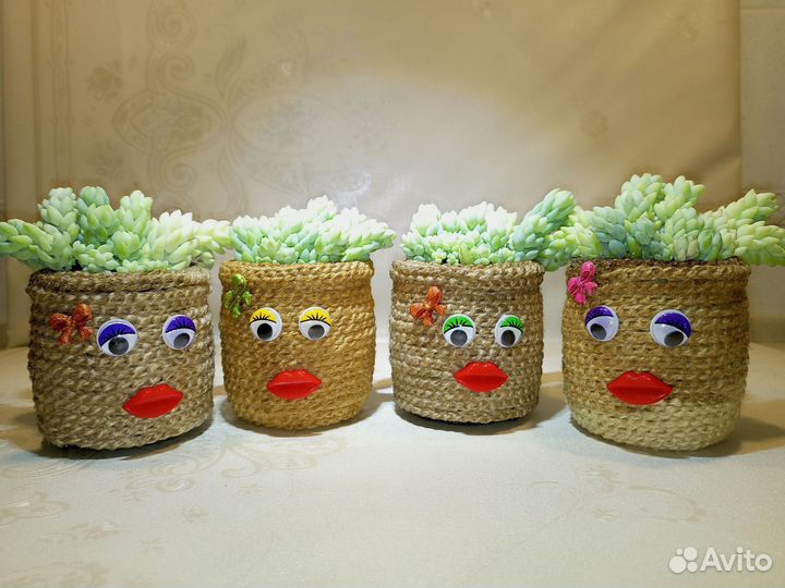 Оригинальная композиция из суккулентов