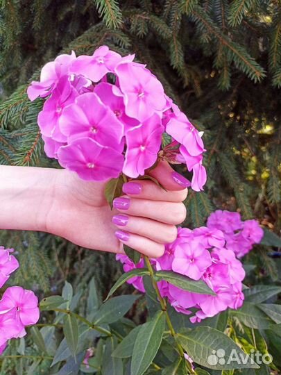 Маникюр с покрытием гель-лак