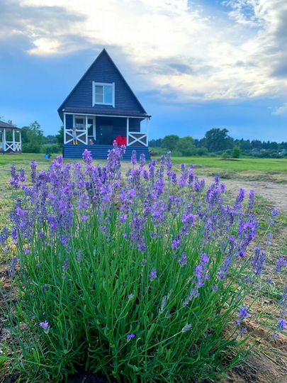 Дом 110 м² на участке 18 сот.