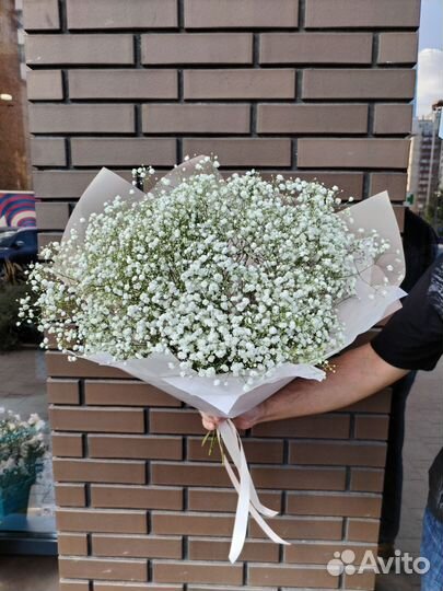 Букет из гипсофилы