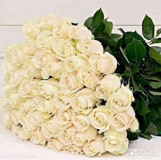 Высокие розы Гигантские розы Доставка цветов