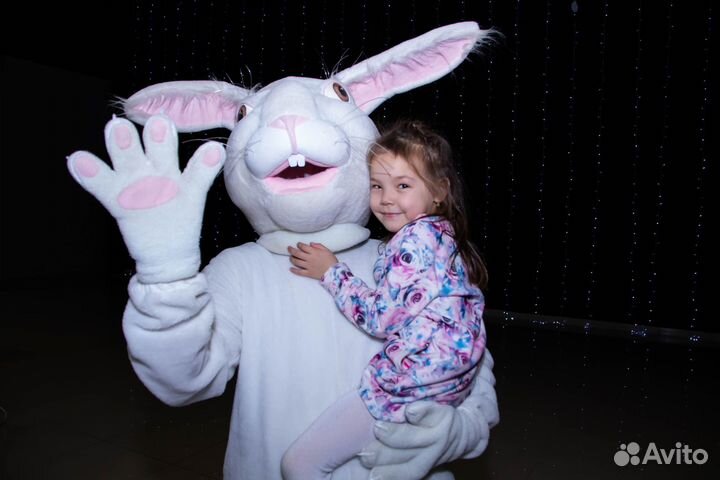 Организация школьных выпускных