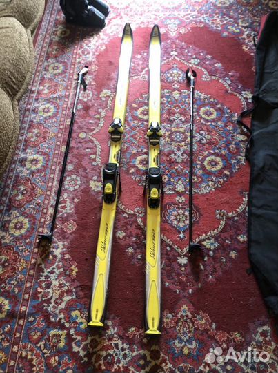 Горные лыжи