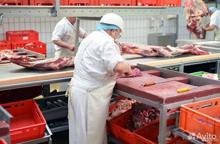 Ищу займ в готовый бизнес, доход 21539 в мес