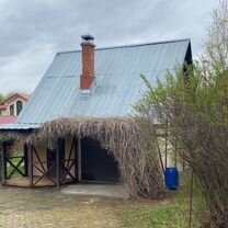 Дом 49 м² на участке 4,7 сот.