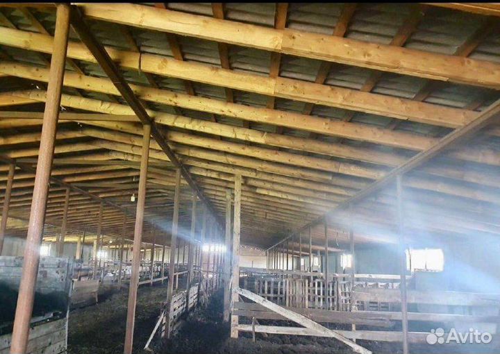 Животноводческая ферма продаю 7га, без скота