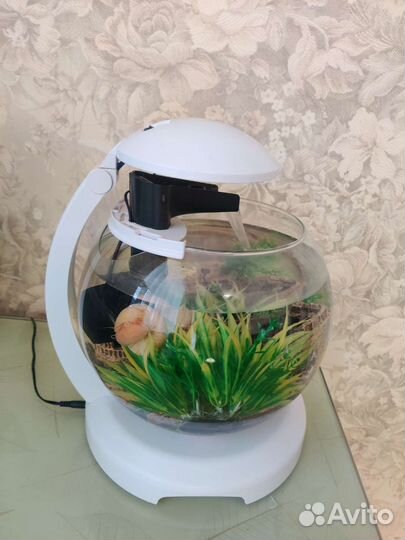 Аквариум круглый Тетра 6,8 л