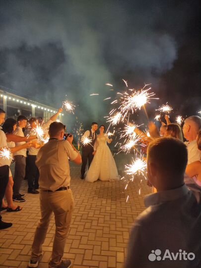 Ведущий на свадьбу