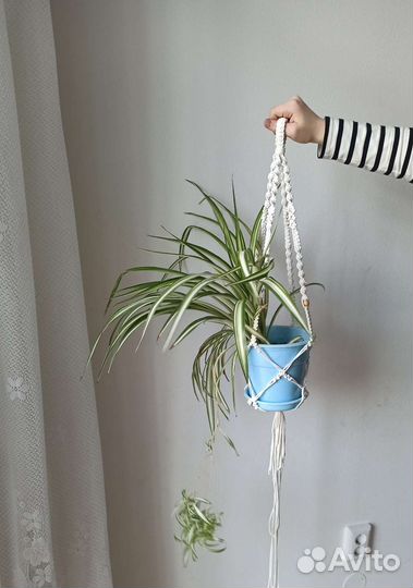 Подвес для цветов, Кашпо макраме