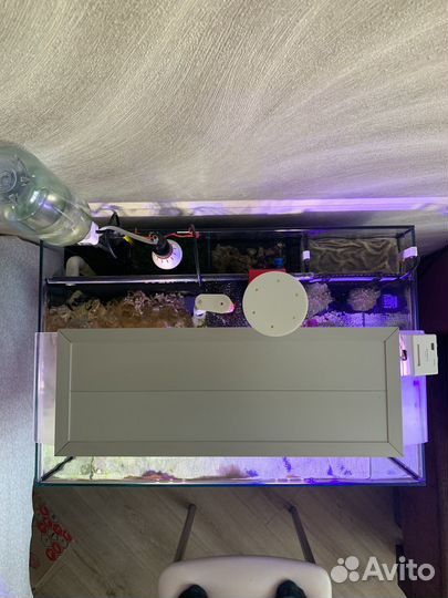 Морской аквариум