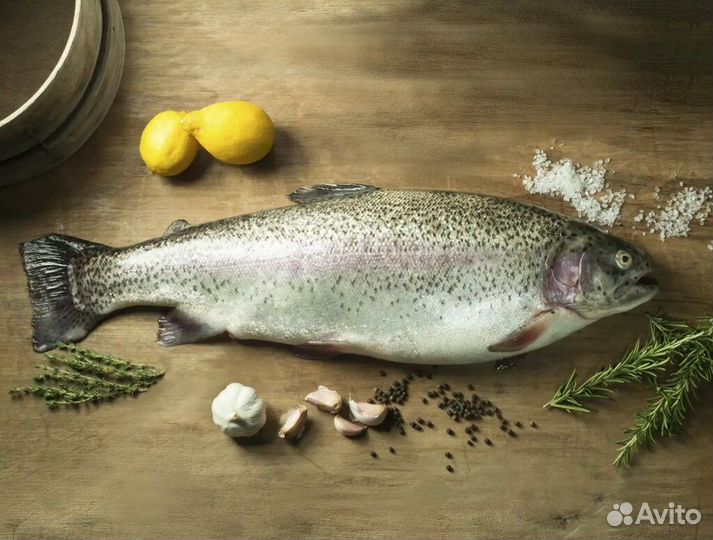 Форель из Хакасии охлажденная