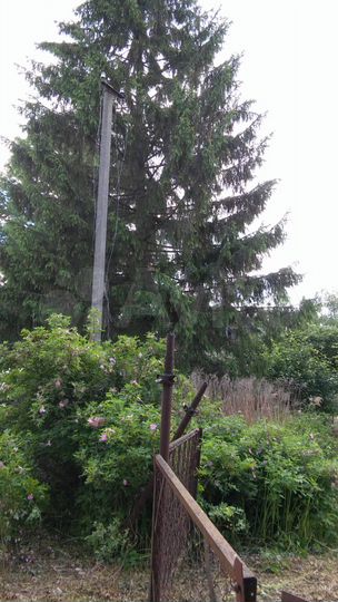 Участок 16,5 сот. (ИЖС)