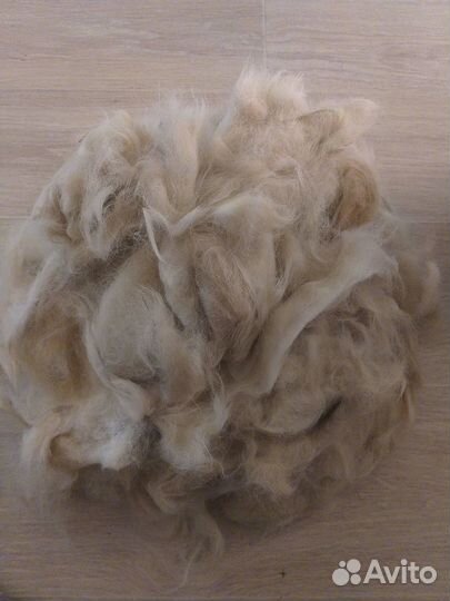 Собачий пух