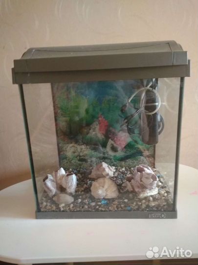 Аквариум