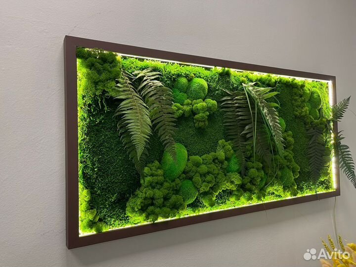 Зеленая гармония: фитокартина Арт: 215695